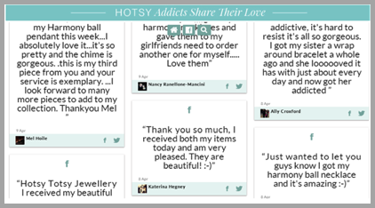 Hotsy example of using customer reviews