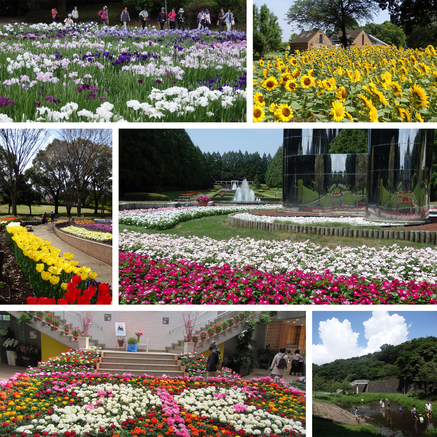 相模原公園 公式サイト 園内マップ