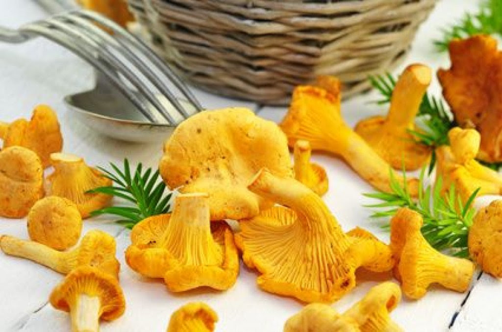 Kochrezepte Einfach Und Schnell