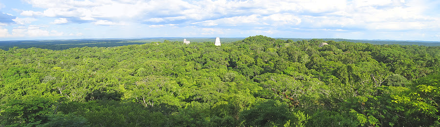 International-Shipping Shipping To GUATEMALA Cargo From USA - Moving 