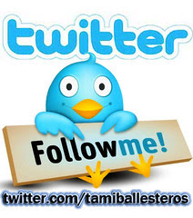 twitter3