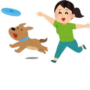 犬と木の棒で遊ぶのは危険 犬の総合情報サイト ペットスマイルニュースforワンちゃん