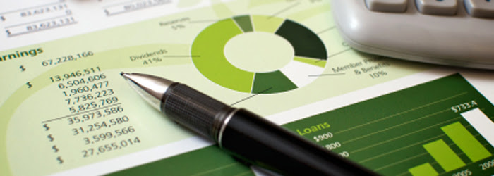 Стандарты бухгалтерского учета в Украине (основной инструментарий бухгалтера)