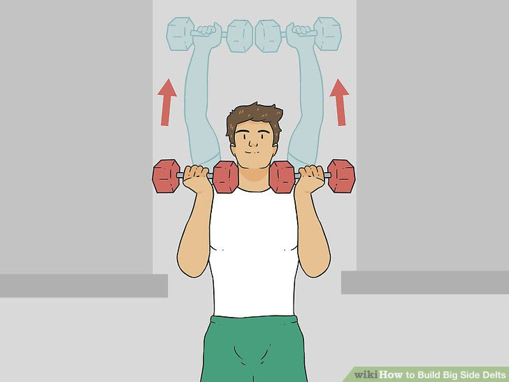 Build Big Side Delts Step 2.jpg