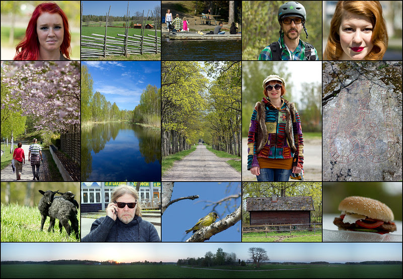 Sixteen Recent Snaps