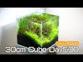 √ダウンロード 水草水槽 30cm 104127-水草水槽 30cm レイアウト