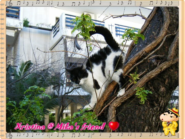 Mika's friend