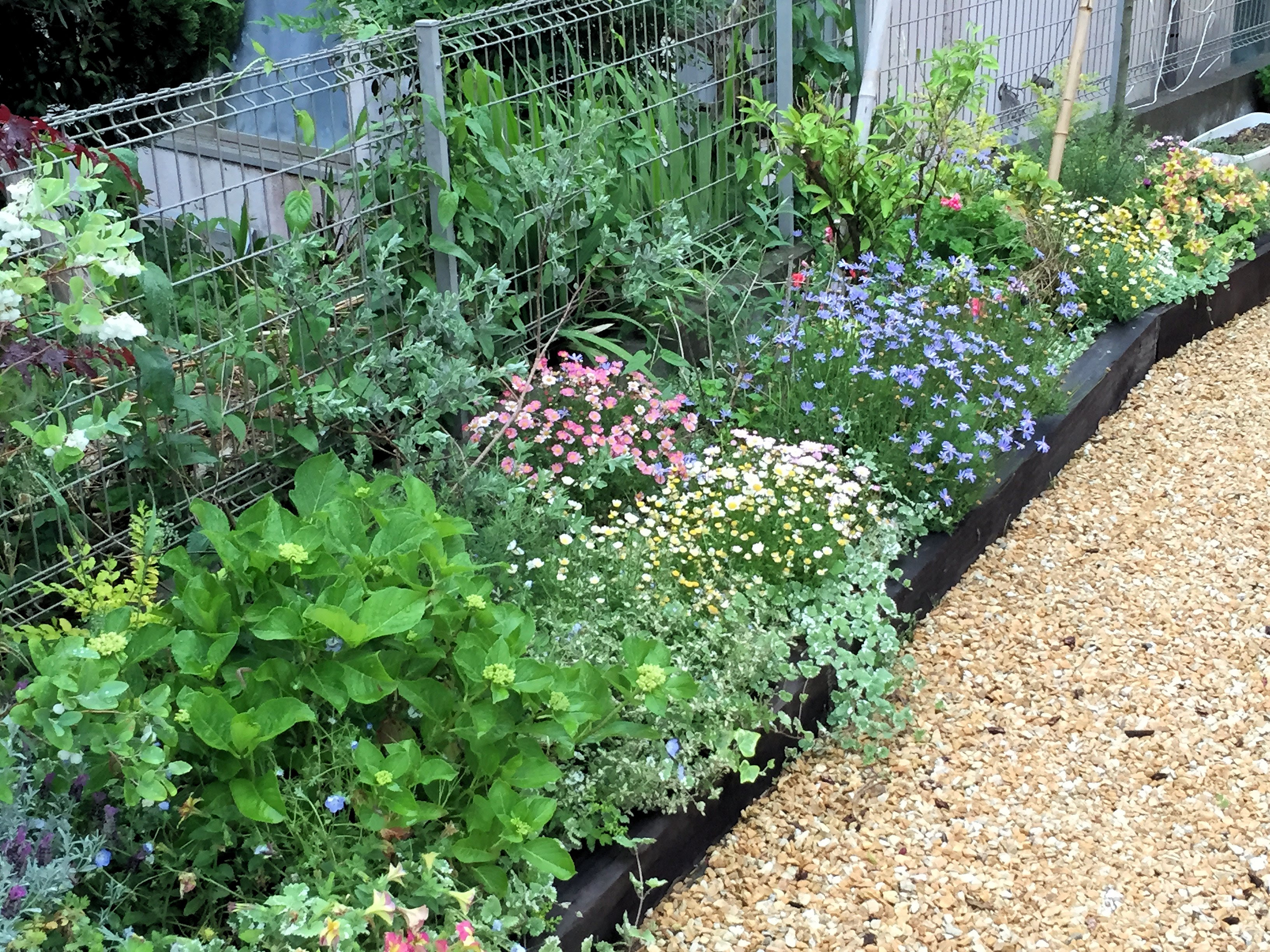 ナチュラル花壇１２のポイント ポールズガーデンスタイルの素敵な花壇の作り方