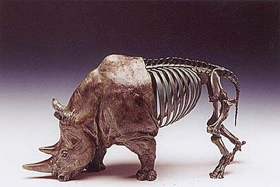 The rhinoceros of Nicko Rubinstein