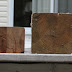 6X6 Cedar Porch Posts : I don't mind paying more for a better quality product, but if the paint is going to peal every year i think it'll end up looking worse than a split board.