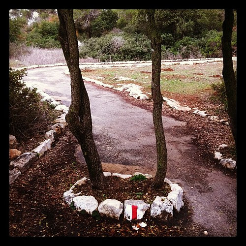 Path