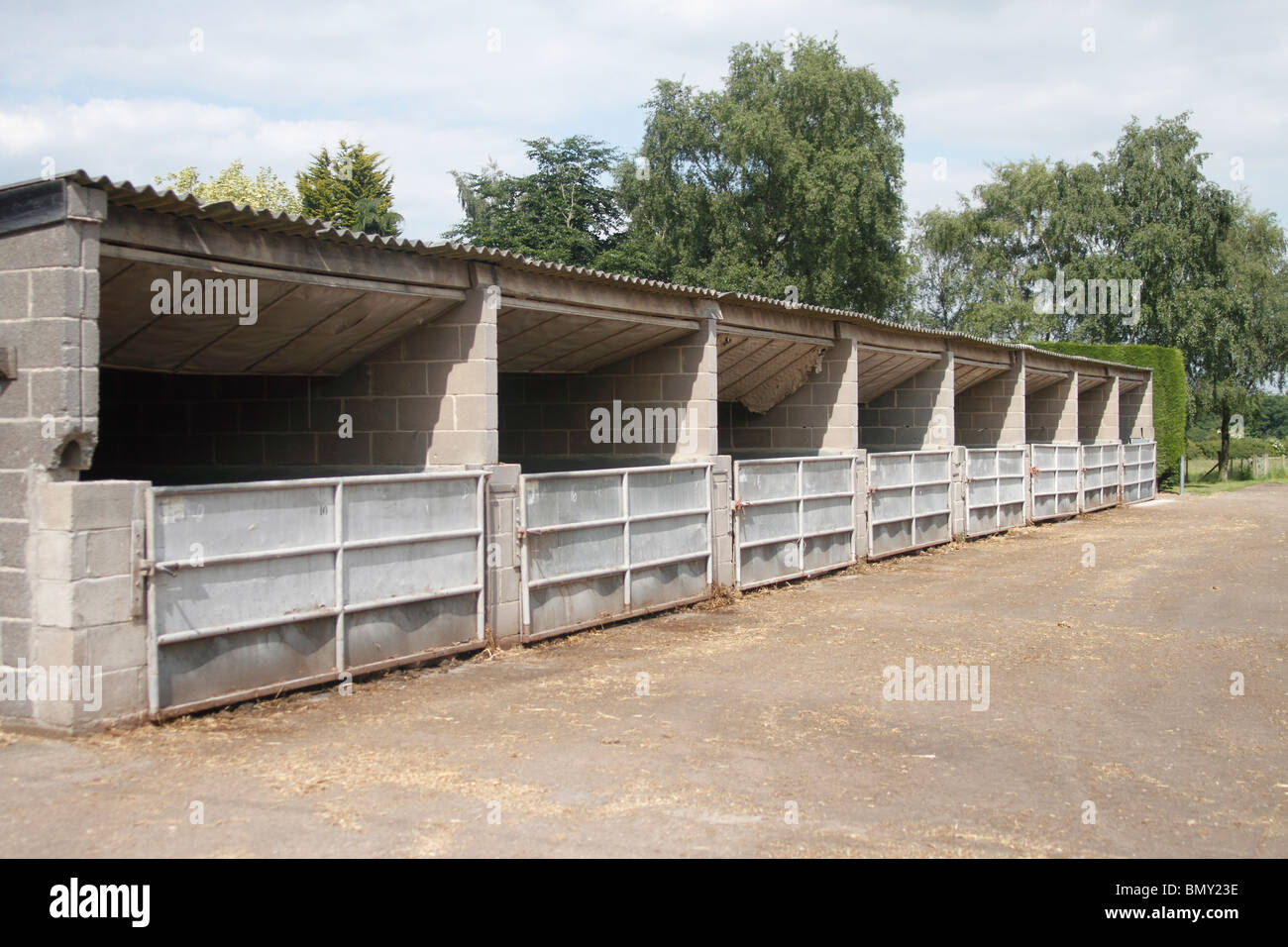 Breeze block construction pig pens Stock Photo, Royalty ...