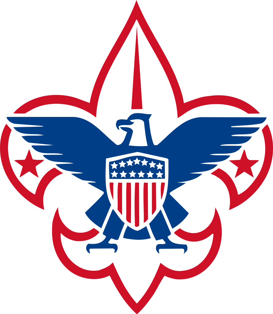 Image result for boy scouts of america