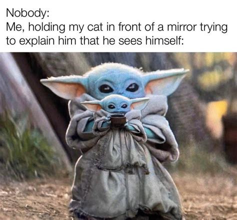 wholesome clean memes  start    feels gallery