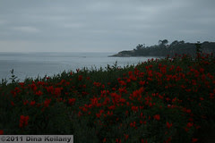 IMG_4153.jpg
