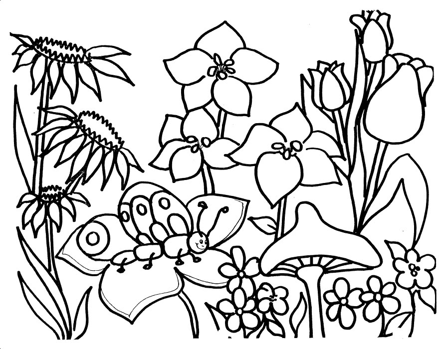 Flower garden coloring pages to download and print for free Flower garden coloring pages to download and print for free
