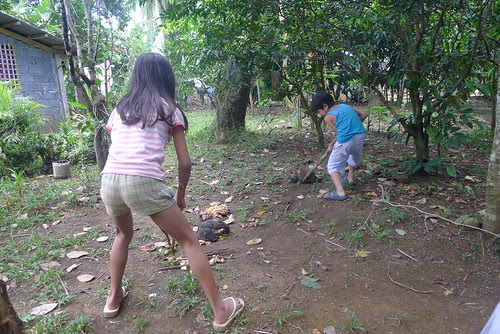 bicol2