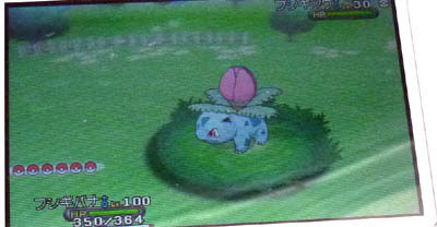 ポケモンサンムーン 交換のお願い 終了 いつでも準備中