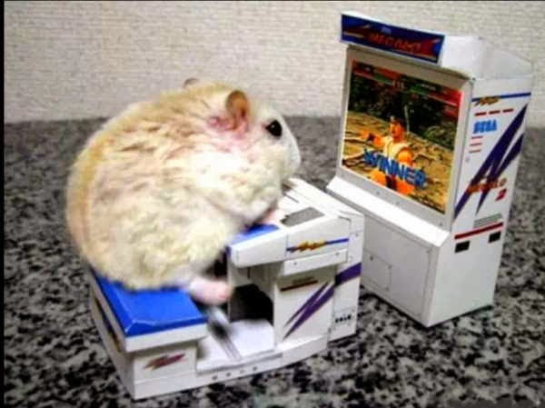 Funny animals of the week - 17 January 2014 (40 pics), hamster plays video game