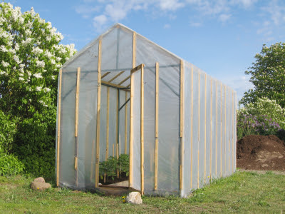 Container Gardening Plans on Homemade Simple Plastic Greenhouse With Tomato Plants