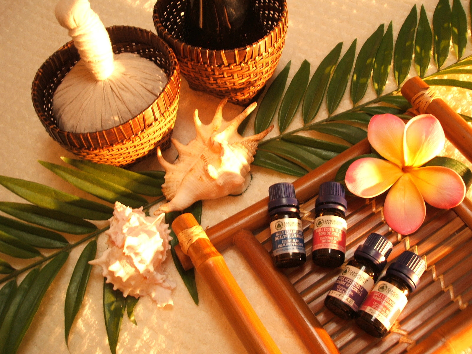 豊田市アロマトリートメント スクールaroma Rose アロマローズ