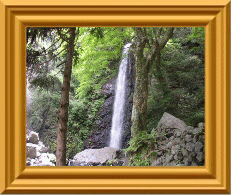 自己紹介のページ