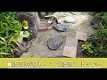 200以上 雑草 ガーデニング 194150-雑草 ガーデニング 種類