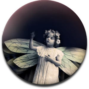Faerie Magic - James Duvalier Services