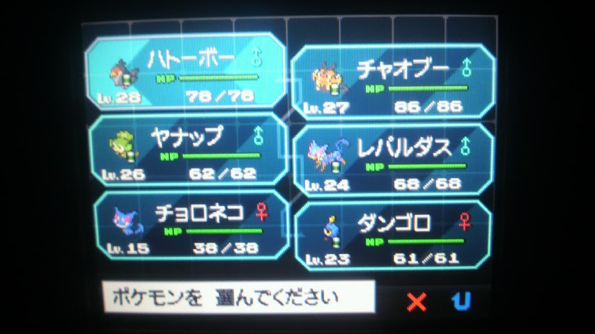 桃色の純情な妄想 ポケモンホワイト 2 レパルダスよ