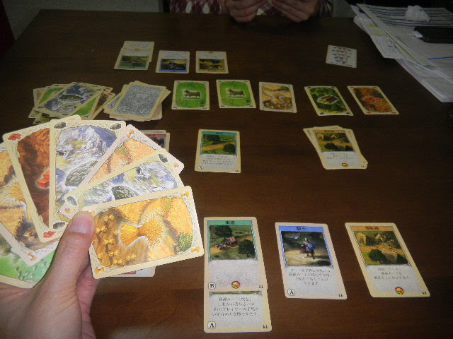 Die Siedler Von Catan Das Schnelle Kartenspiel カタンの開拓者たちカードゲーム