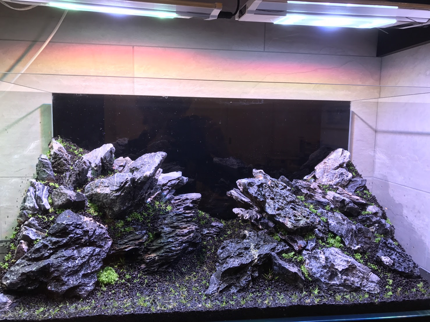 ９０ 石組みレイアウト水槽出張レイアウトのご紹介 Aquarium Tall Man