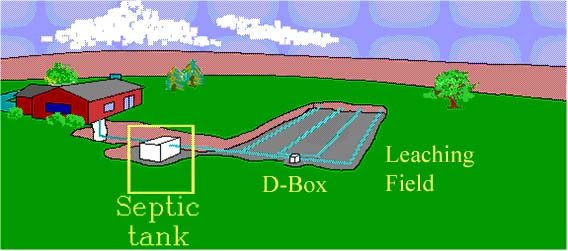 Image result for conventional septic system
