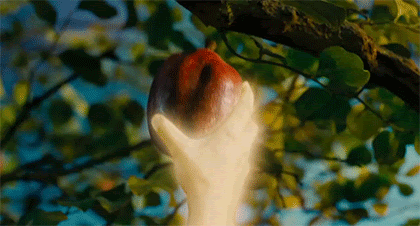 serpent tempts eve
