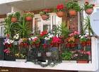 garden decor ideas - Landscape Design Idea - Jext.info : Landscape ...