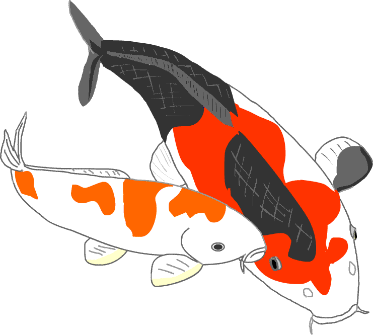 魚 イラスト 無料 ｇｉｆ画像