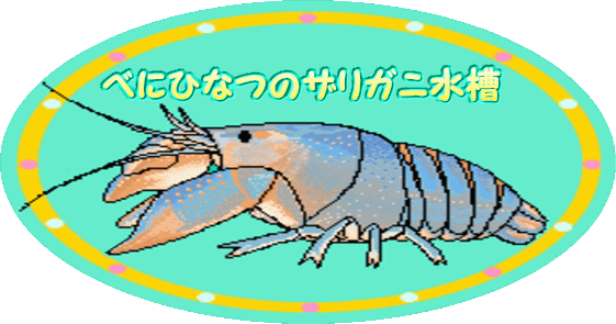 ザリガニ関係リンク集 Crayfish Links In Japan