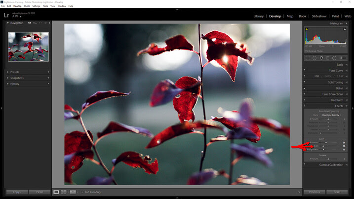 How to Simulate the Look of Analog Film Using Lightroom