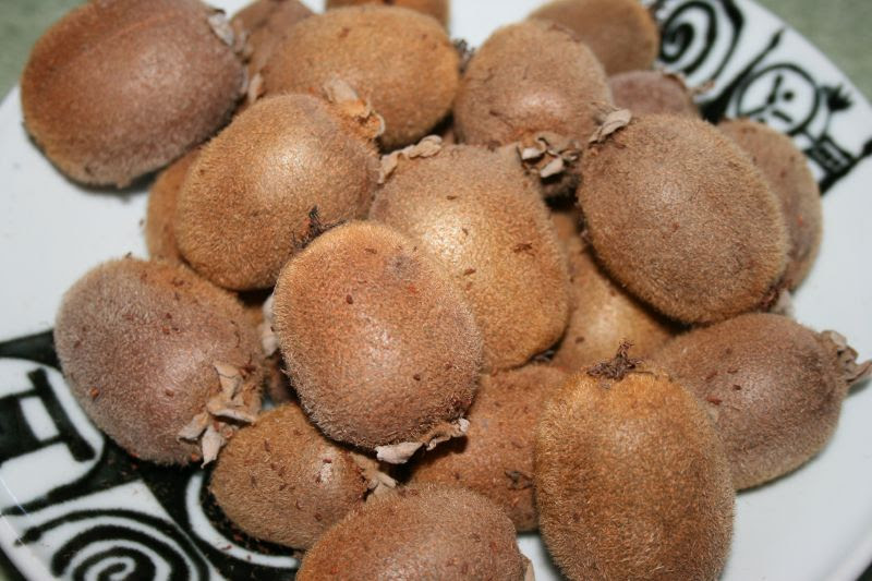 Previous day picked fresh kiwis