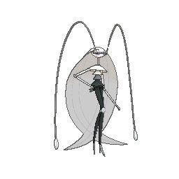 ポケモンウルトラサンムーン解析情報 ポケモン剣盾 ソードシールド 攻略 最新情報 Pokemon Times