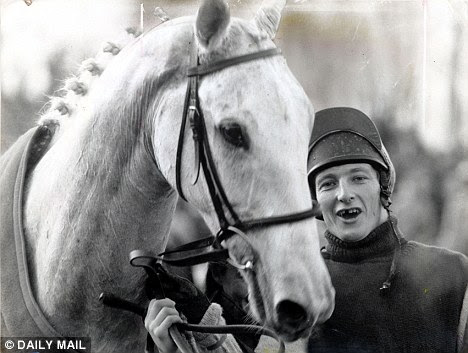 Steeplechase Horse Racing. Racehorse Desert Orchid with