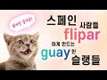 스페인 사람들이 정말 많이 쓰는 슬랭들 모음.