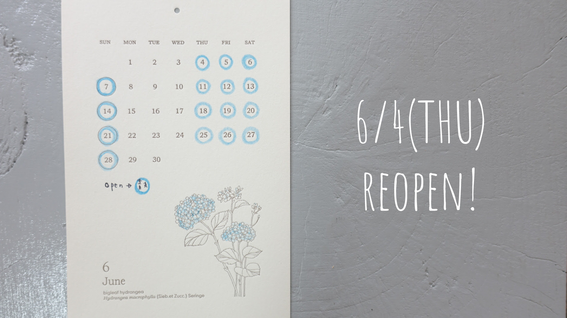 6月のカレンダー Takenosu Bake