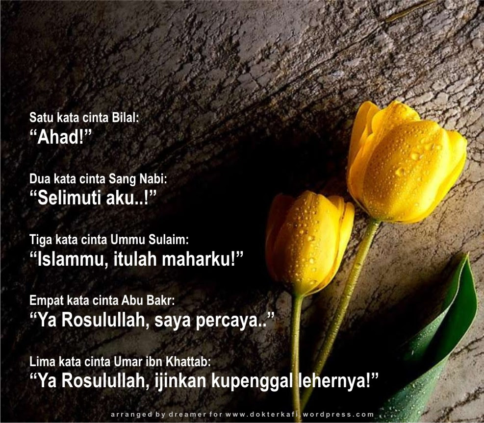 Foto Lucu Cinta Islam Terlengkap Display Picture Unik