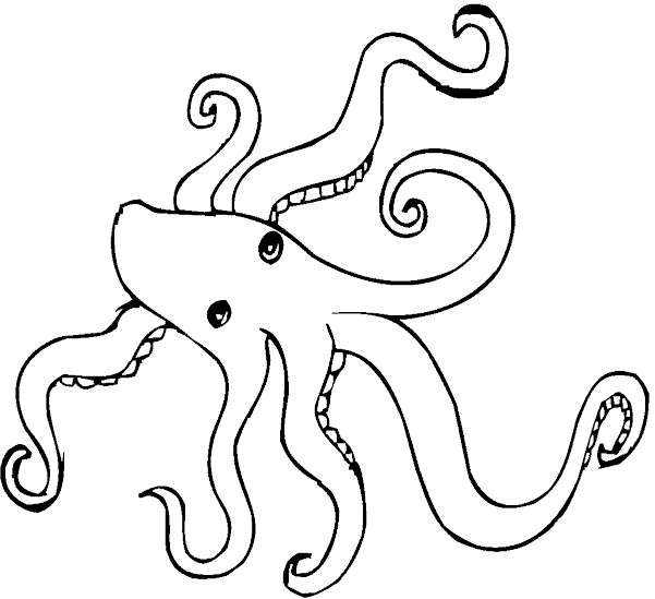 Home / Coloring Pages / SeaLife / Octopus /