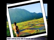 Berikut Tempat wisata di lombok NTB, terbaru!