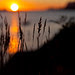 Midnight sun at Napp, Lofoten