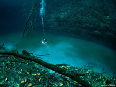 綺麗な水の透明感で癒される画像 壁紙集 高画質 写真まとめサイト Pictas