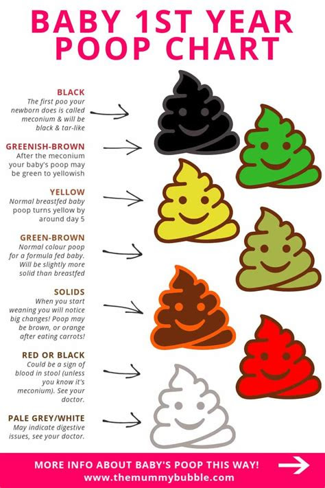  what do poop colors mean the meaning of color