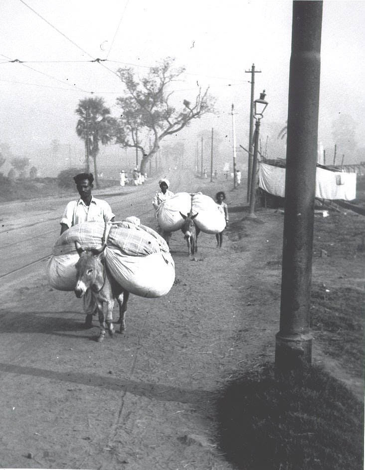 "Early morning scene along Diamond Harbor Road between Kidderpore and Alipore, Calcutta area"