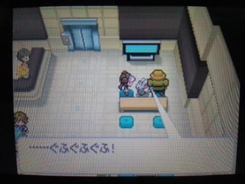 ｂｗ２ポケモン鳴き声テキストまとめ ヒオウギ タチワキまで